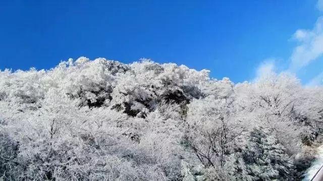 秘密花园找不同