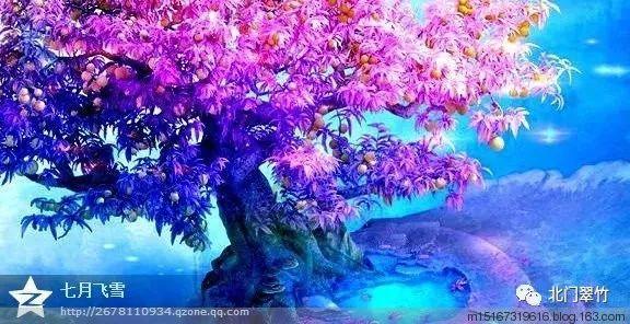 守卫木鱼